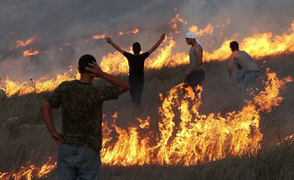 Their Livelihoods in Flames: Palestinian protesters stand amid blazes set by settlers to their olive groves last October near Yitzhar, a West Bank settlement known as a bastion for extremists.